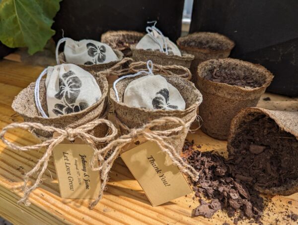 Flower Seed Party Favors